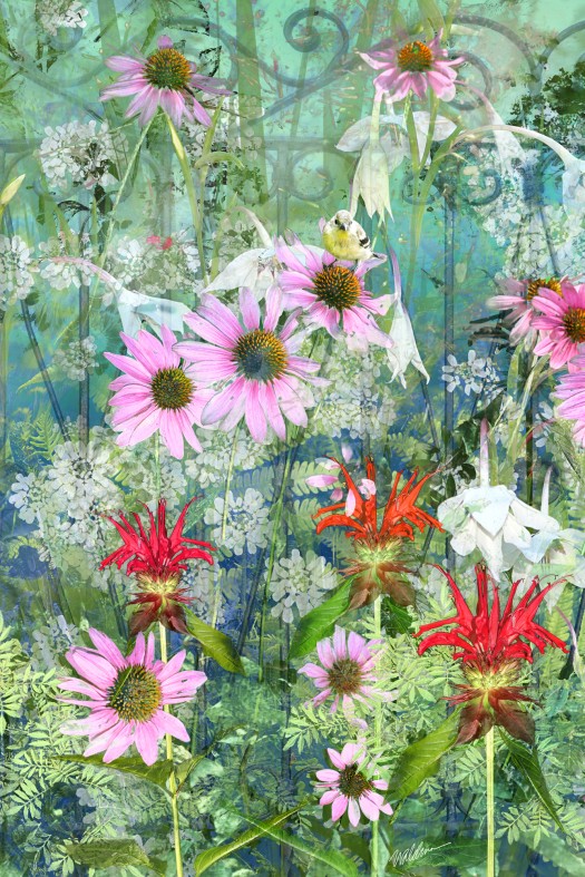 Waldman Finch Chatter Remix compositephotograph